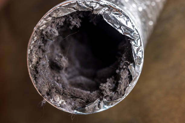 Best Home Air Vent Cleaning  in Rk Forest Village, PA